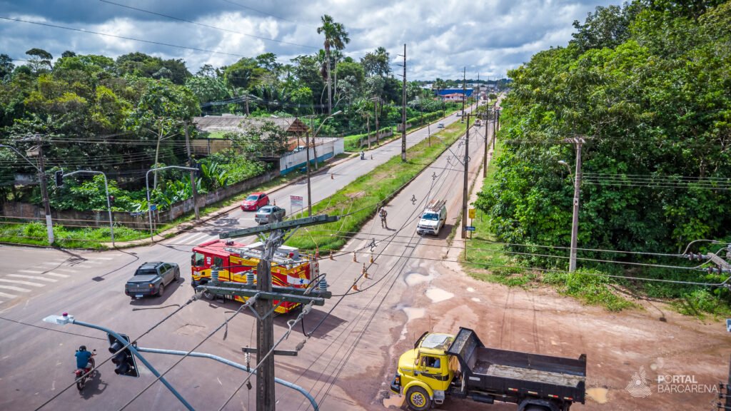 VÍDEO: Árvore derruba 4 postes e deixa bairros sem energia em Barcarena