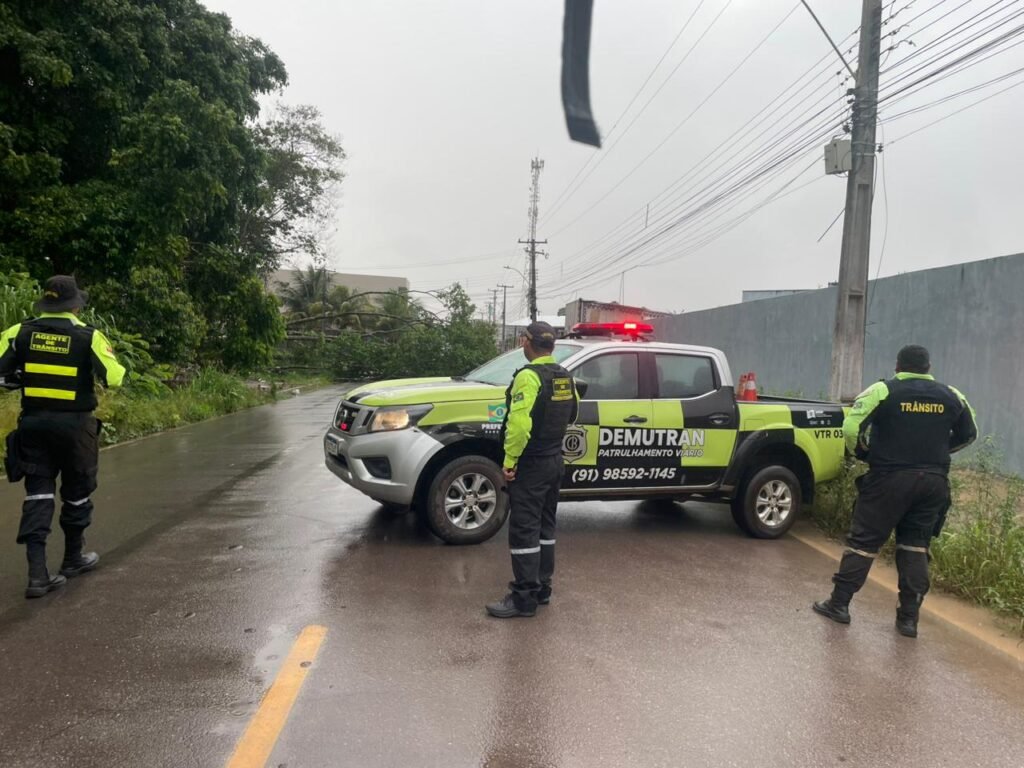 Árvore cai e interdita parcialmente a Rua 16 de Abril, em Vila dos Cabanos 1 WhatsApp Image 2026 02 23 at 17.58.34 1