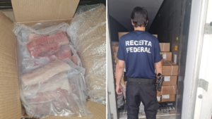 Receita Federal apreende 15 toneladas de pirarucu em operação conjunta com IBAMA nos Portos de Manaus e Vila do Conde