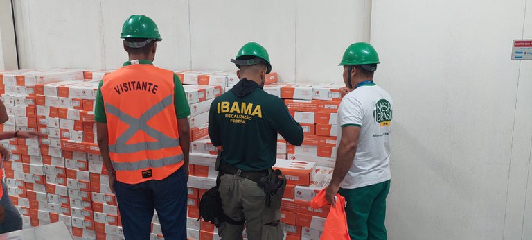 Ibama apreende 43 toneladas de pargo em operação no Porto de Vila do Conde