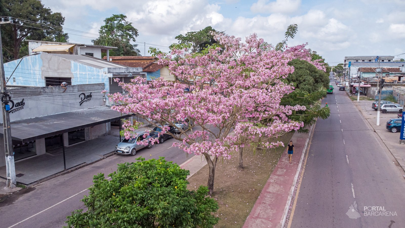 Foto: Paulo Brito - Portal Barcarena