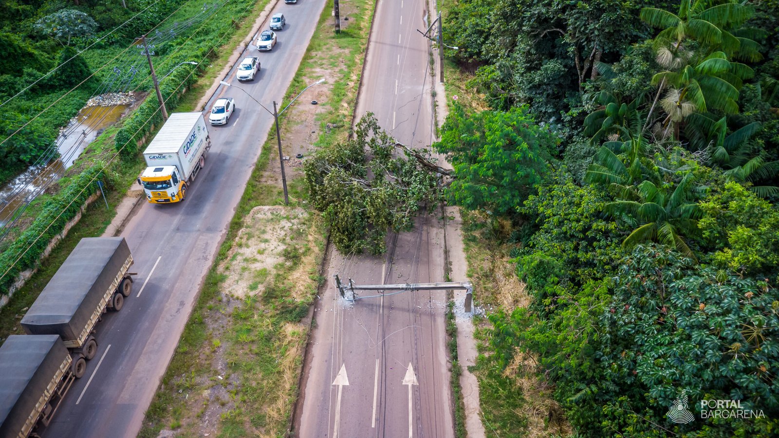 Queda de árvore danifica 4 postes e afeta fornecimento de energia em Barcarena