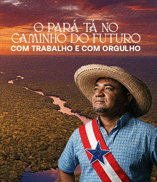 GovPa Balanco25 WebBanner 300x400px 1